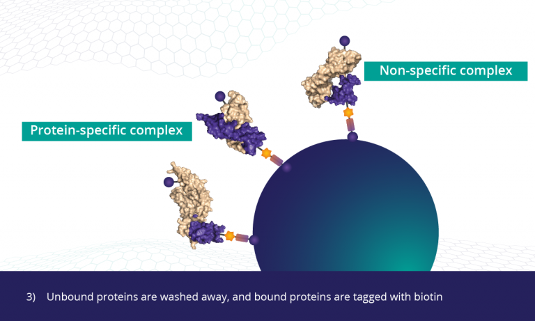 proteins somalogic unbound biotin