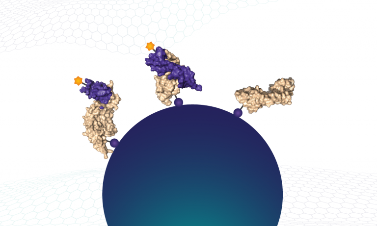 Biotinylated proteins (and bound SOMAmer reagents) are captured on streptavidin beads