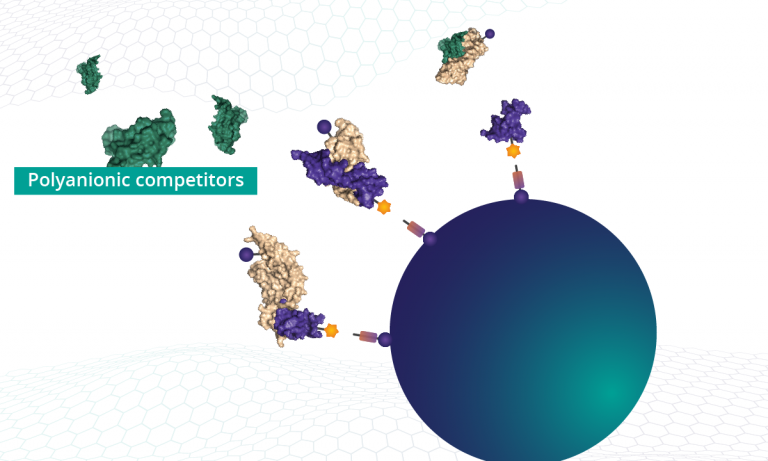 Polyanionic competitors prevent rebinding of non-specific complexes