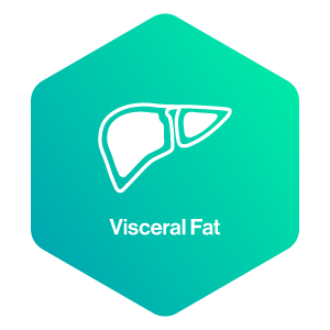 Visceral Fat